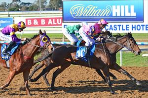 Shampion continues Uluru Stud's hot run